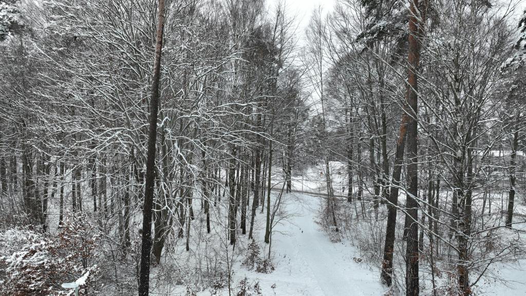 Vintrig barnvagnspromenad i Södertälje