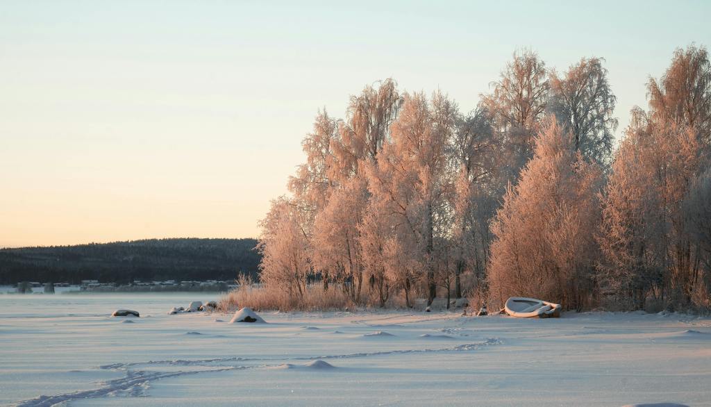 Naturen i Luleå, Norrbotten