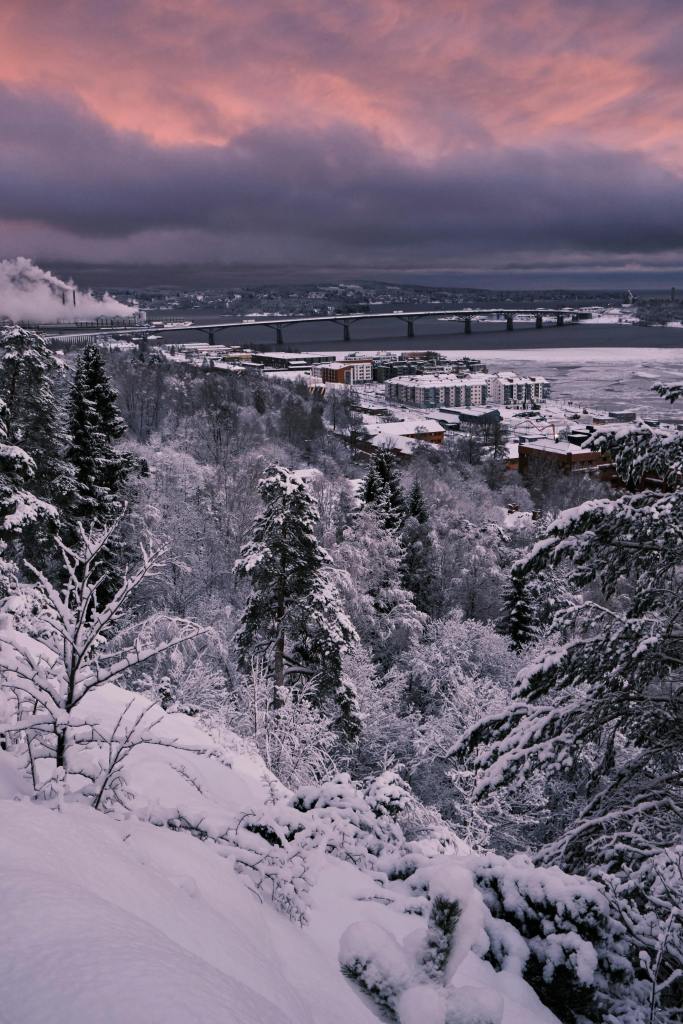 Bron till Umeå och Väven