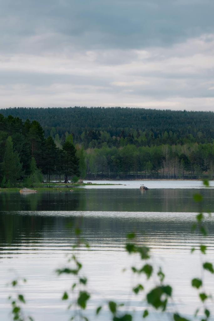 Skogspromenad i Falun, Dalarna