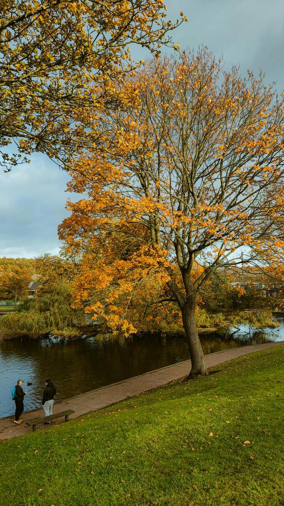 Stroller walks in Sheffield